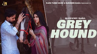 Greyhound  Full Song  Surinder Baba  G Skillz  New Punjabi Song 2024  Latest Punjabi Song 2024 [upl. by Leinehtan]