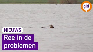 HOOGWATER zorgt voor VEEL OVERLAST 💦 [upl. by Oberon]