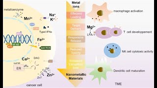 Methods of Analysis of Metal Ions [upl. by Leena]