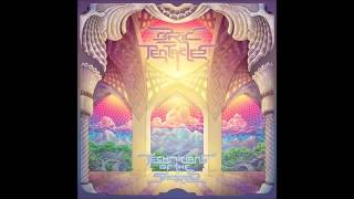 Technicians of the Sacred An In Depth Interview With Ozric Tentacles [upl. by Eceinert231]