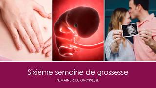 6 semaines de grossesse OU sixième semaine de grossesse [upl. by Atteynek218]