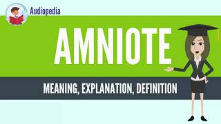 What Is AMNIOTE AMNIOTE Definition amp Meaning [upl. by Asehr]