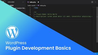 WordPress  Plugin Development Basics [upl. by Armitage]