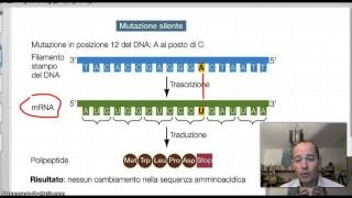 Le mutazioni  parte prima [upl. by Alicia]