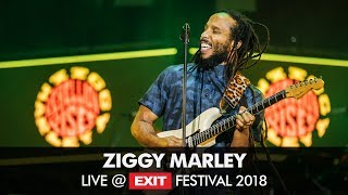 EXIT 2018  Ziggy Marley Live  Main Stage FULL SHOW [upl. by Calvina]