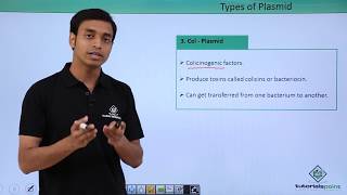 Class 11th – Kingdom Monera – Plasmids  Biological Classification  Tutorials Point [upl. by Engdahl]