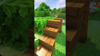 Minecraft Starter House🏠 Worlds Smallest Violin shorts [upl. by Adnical]