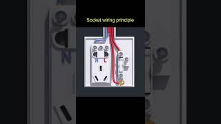 Socket Wiring Principle short shorts [upl. by Clabo]