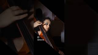 La leçon particuliére  Francis Lai cellopiano piano cello cover [upl. by Aitan]