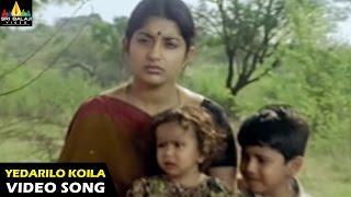 Gorintaku Songs  Yedarilo Koila Video Song  Rajasekhar Aarti Agarwal  Sri Balaji Video [upl. by Ruhtracam]