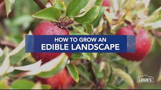 How to Grow an Edible Landscape [upl. by Ynffit]