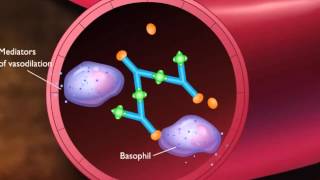 Antigen and antibody immune complex [upl. by Hake]