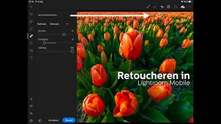 RETOUCHEREN in LIGHTROOM Mobile bijpunten op tablet of telefoon [upl. by Kwasi]