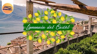 Limonaia del Castèl  Das Zitronenhaus  Limone sul Garda  Gardasee [upl. by Neemsaj]