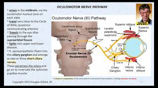 Eye Anatomy Physiology Neurology for Beginners A live lecture Part I [upl. by Jeffery]