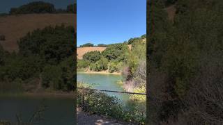 Lake Chabot man made lake castrovalley california shorts subscribe [upl. by Sukul574]