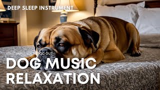 LIVE 🐶 Deep Sleep Dog Music🎵Relaxing Music to Relieve Dog Stress Dog Sleep Music💖Dog Calming Music [upl. by Pelage]