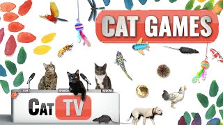 CAT Games  Ultimate Cat TV Compilation Vol 24  2 HOURS 🐝🐞🦋🦎🦜🐜🐭🧵 [upl. by Afesoj]