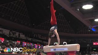 Stephen Nedoroscik Wins BRONZE In Pommel Horse At 2024 Olympics [upl. by Kurys]