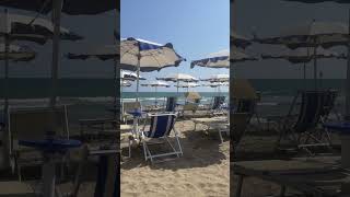 Le ferie ad agosto marchionne ferie viralvideo holiday fypシ゚viral neiperte [upl. by Dulciana733]