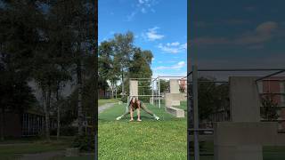 SPLIT is so EASY😱🔥 gymnast howto flexible easy shorts tutorial easytutorial split [upl. by Nilad36]