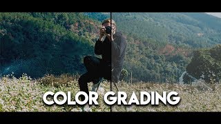 Color Grading Made Easy  After Effects Tutorial │ No Plugins Needed  100 After Effects [upl. by Nnylarej]