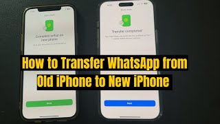 How to Transfer WhatsApp Chat from Old iPhone to New iPhone [upl. by Kelwin161]