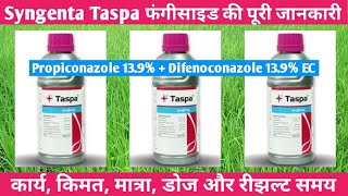 Syngenta Taspa Fungicide Syngenta  Propiconazole Difenoconazole [upl. by Domingo822]