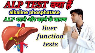 ALP normal rangeALP Alkaline phosphatase ALPnormal range ALP test kya haistudywithhussain [upl. by Atilamrac]