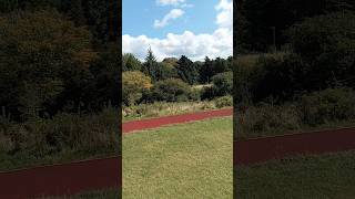 Fernhill Park shorts fernhill park short shortvideo nature naturelovers youtubeshorts [upl. by Cressler]