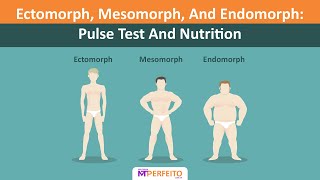 Ectomorph Mesomorph And Endomorph Pulse Test And Nutrition [upl. by Nhguavaj107]