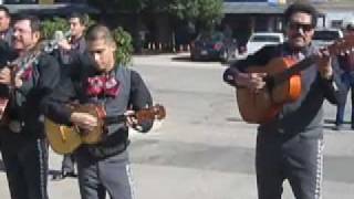 Mariachi Plata Band Tubac AZ [upl. by Zeeba]