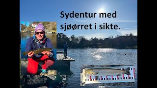 Sydentur med sjøørret i sikte [upl. by Adnuhsar825]