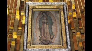 Our Lady of Guadalupe 12 December The Miraculous Tilma [upl. by Zertnom226]