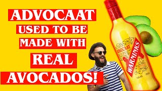 Advocaat Used to be Made With Real Avocados  History of Advocaat [upl. by Ednutey694]