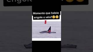 A story of a shark and a man ❤ funny video  shorts funnyvideo comedy funny [upl. by Rabiah39]