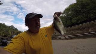 2018 Dale Hollow Crappie Fishing Early Fall [upl. by Nwatna]