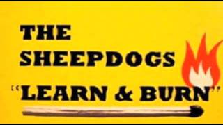 The Sheepdogs  Learn amp Burn [upl. by Dittman]