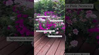 Pink Flower Pot Recipe shorts pinkflowers [upl. by Llerdna]