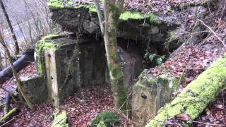 Vergessene Orte  Westwall  Siegfried Line  Hitler  Bunker 0844  lost places germany [upl. by Jayson]