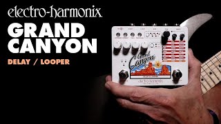 ElectroHarmonix Grand Canyon Delay  Looper Pedal Demo by Bill Ruppert [upl. by Sajet]