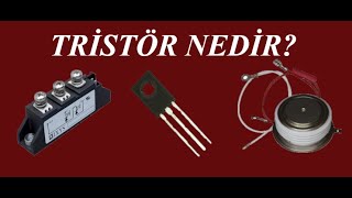 Tristör Nedir Nasıl Çalışır [upl. by Aneleasor]