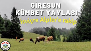 İddia Ediyorum 📢 Türkiyenin En Güzel Yaylası 🏡🌲 Giresun Kümbet Yaylası İsviçre Alplere Rakip [upl. by Jezabella840]