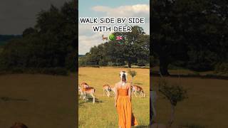 Unique experience in Knole Deer Park 🌳🦌visitkent deerpark visitengland peacefulvibes [upl. by Kliment973]