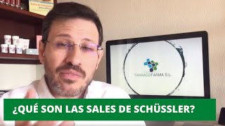 ¿QUÉ SON LAS SALES DE SCHÜSSLER  Julián García Díaz Naturopata [upl. by Aniaz]