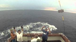 Black Marlin Fishing Take3 [upl. by Eybba]