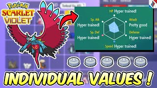 MENGENAL INDIVIDUAL VALUE ATAU IV  APA PENTINGNYA  Belajar Competitive Pokemon  Part 1 [upl. by Coraline633]