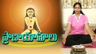 Pranayama Yoga  The Art of Yoga Breathing  Beauty Spot  Vanitha TV [upl. by Ahsilrak]