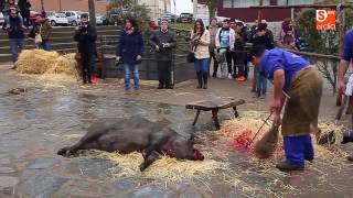 Matanza Típica de Guijuelo Jornada Institucional [upl. by Ahsiuq408]