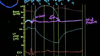 Cardiac Cycle  CVS Physiology  Pressure Volume Curve Wiggers Diagram  EASIEST Explanation [upl. by Alekin425]